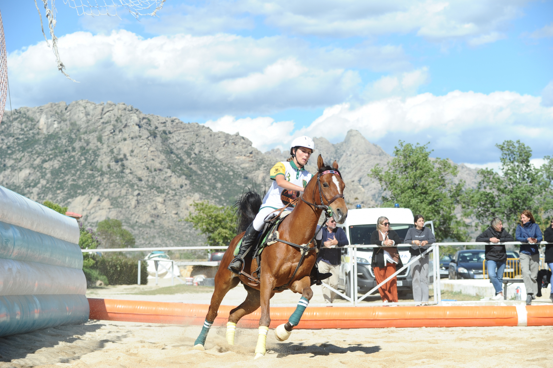 LM Las Nieves