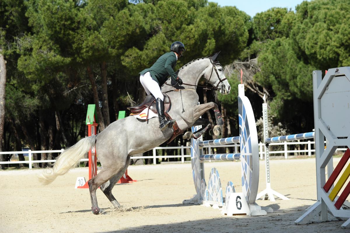 02 16 CCI Ladehesa
