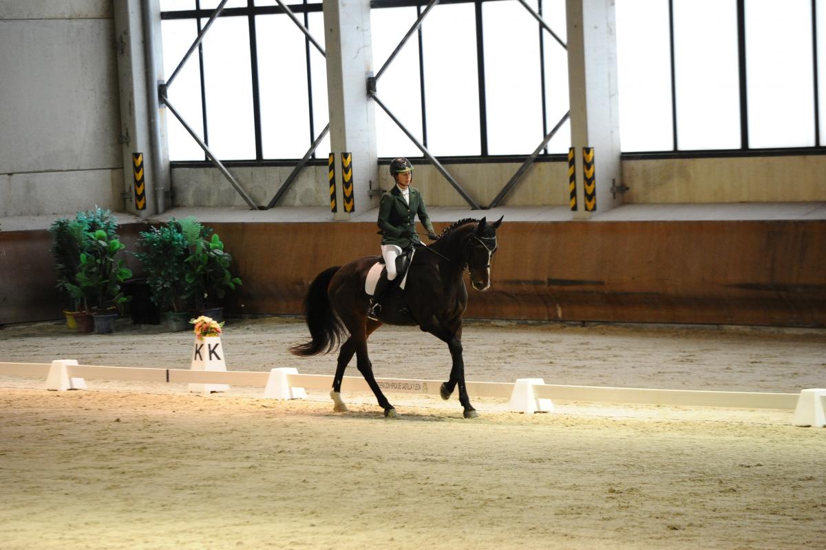 10 26 CECYL