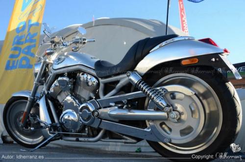 Harley-Davidson2013