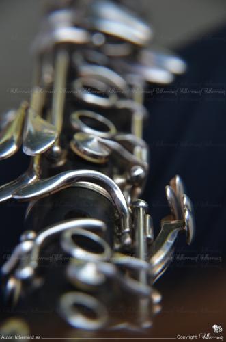 20150801_musica-y-armonia