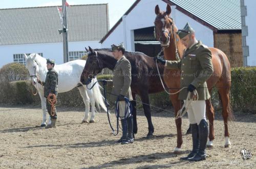 20160315_muestreo-equino-ym