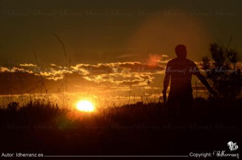 20160901_ContraluzPuestadeSol