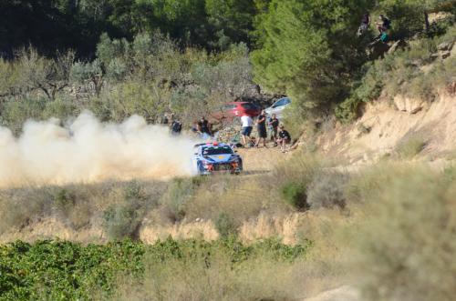 2017 WRC 022