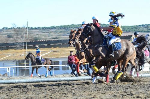 2019 Horseball Arklys 036