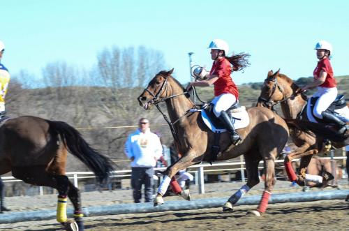 2019 Horseball Arklys 037