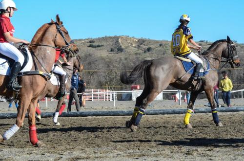 2019 Horseball Arklys 043