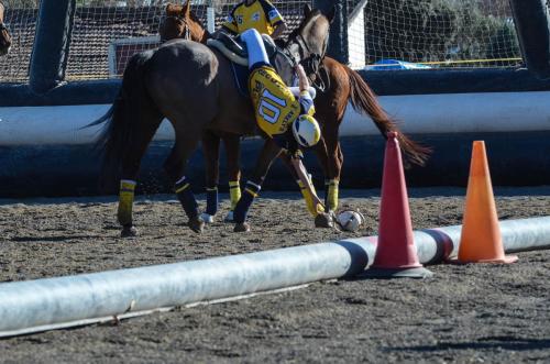 2019 Horseball Arklys 051