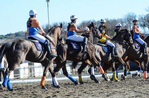 2019 Horseball Arklys 060