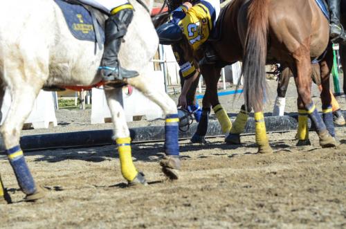 2019 Horseball Arklys 063