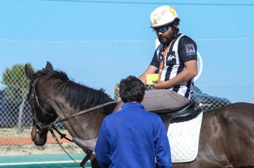 2019 Horseball Arklys 001