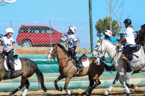 2019 Horseball Arklys 005