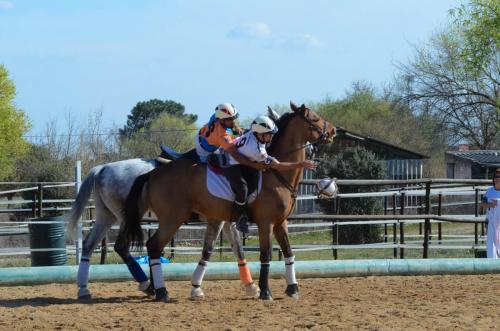 2019 Horseball Arklys 006