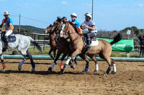 2019 Horseball Arklys 009