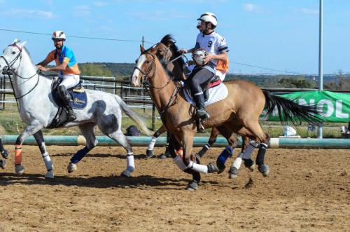 2019 Horseball Arklys 010