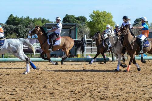 2019 Horseball Arklys 013