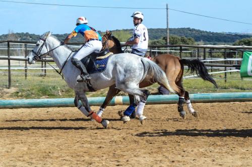 2019 Horseball Arklys 014