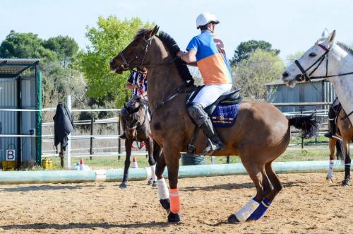 2019 Horseball Arklys 015