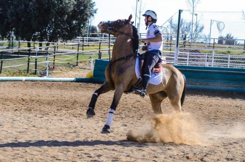 2019 Horseball Arklys 016