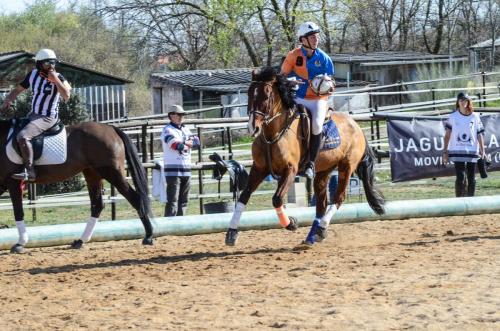 2019 Horseball Arklys 017