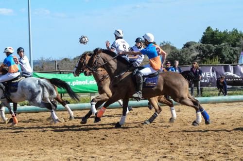 2019 Horseball Arklys 018