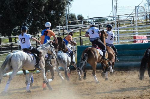 2019 Horseball Arklys 019