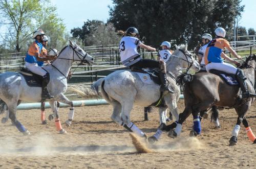 2019 Horseball Arklys 020