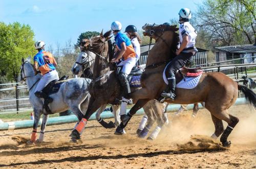 2019 Horseball Arklys 022