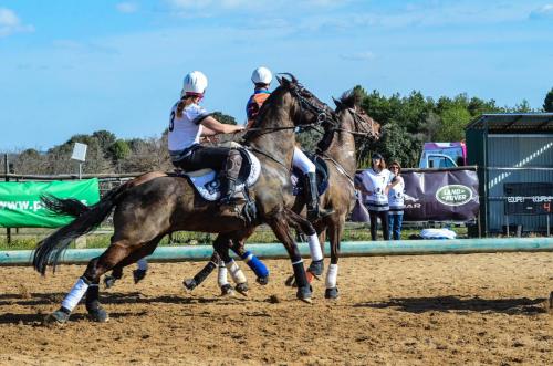 2019 Horseball Arklys 025