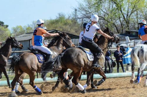 2019 Horseball Arklys 026