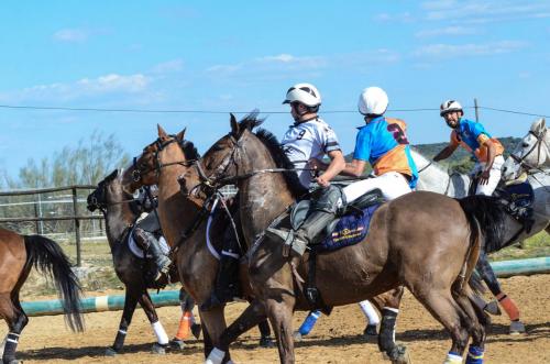 2019 Horseball Arklys 027