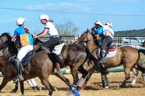 2019 Horseball Arklys 029