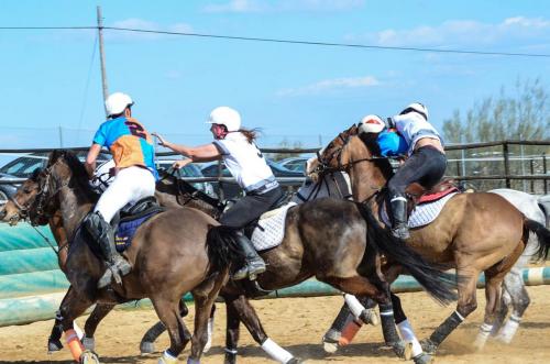 2019 Horseball Arklys 030