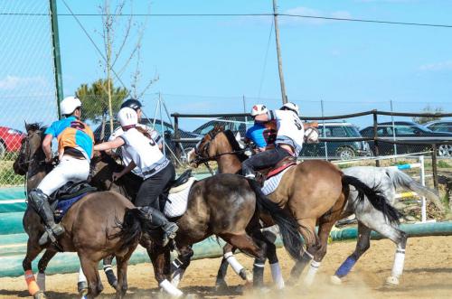 2019 Horseball Arklys 031