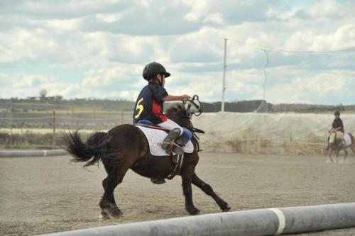 2019 Horseball CM 006