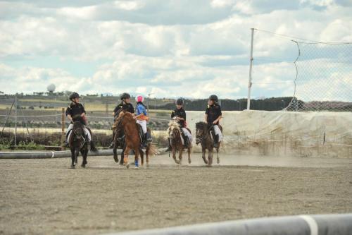 2019 Horseball CM 007