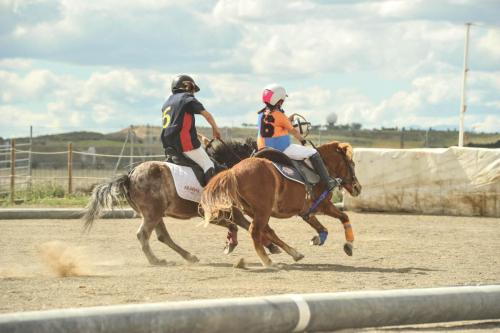 2019 Horseball CM 009