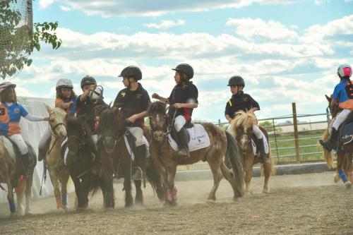 2019 Horseball CM 010