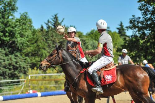 2019 Horseball CM 001