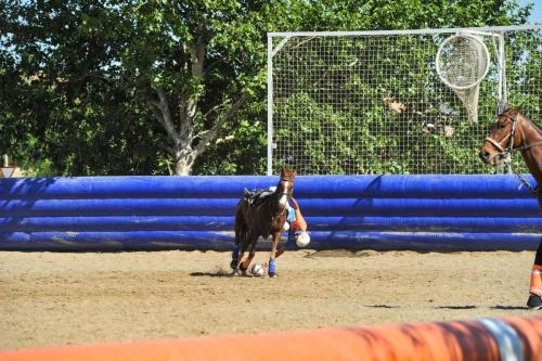 2019 Horseball CM 002