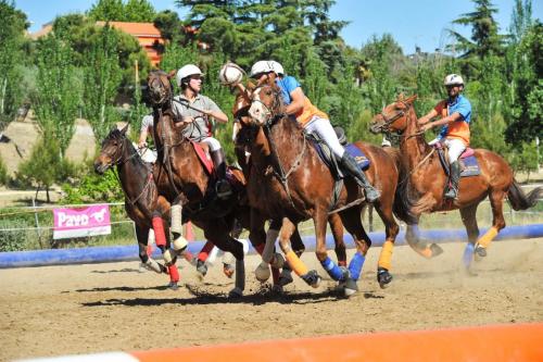 2019 Horseball CM 003