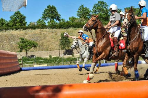 2019 Horseball CM 004