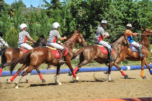 2019 Horseball CM 005