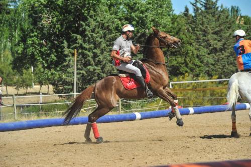 2019 Horseball CM 006