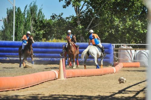 2019 Horseball CM 007