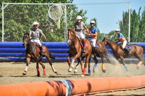 2019 Horseball CM 008