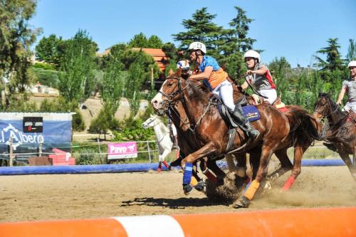 2019 Horseball CM 009