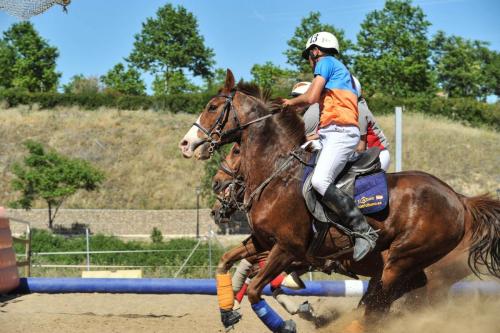 2019 Horseball CM 010