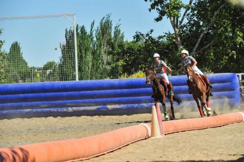 2019 Horseball CM 011