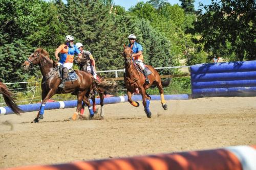 2019 Horseball CM 012